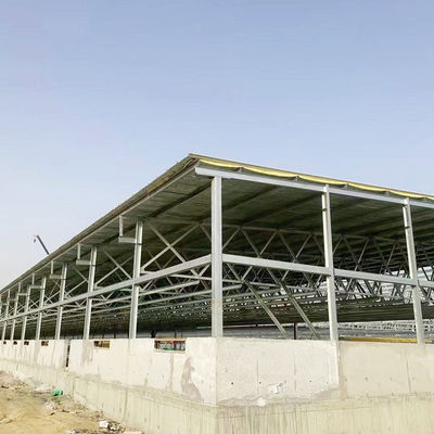 Construction d' ateliers d' aciers structurels préfabriqués sur mesure, entrepôt industriel