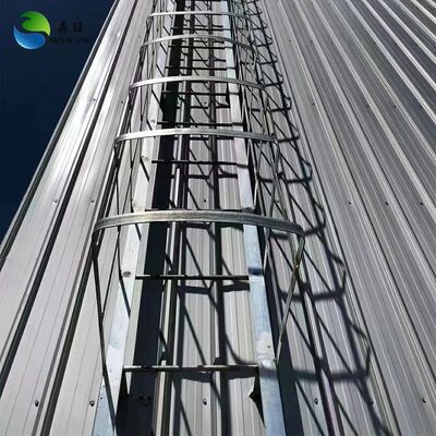 Entrepôt à structure en acier abordable avec panneau sandwich pour un stockage économe en énergie