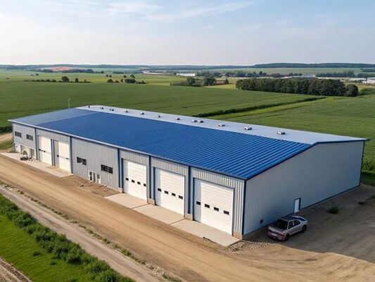 Steel Structure Warehouse with 5~30 Degree Pitch Q235B/Q355B Steel and Long-span Grid Structure for Industrial Storage