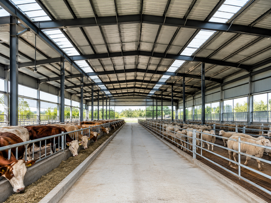 Couverture de toit 035kn M2 Structure en acier léger entrepôt bâtiment de stockage en acier durable et solution pour les besoins de stockage industriel